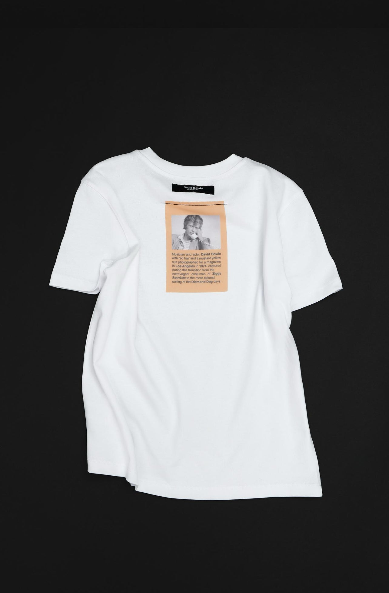Zara X David Bowie T-Shirt