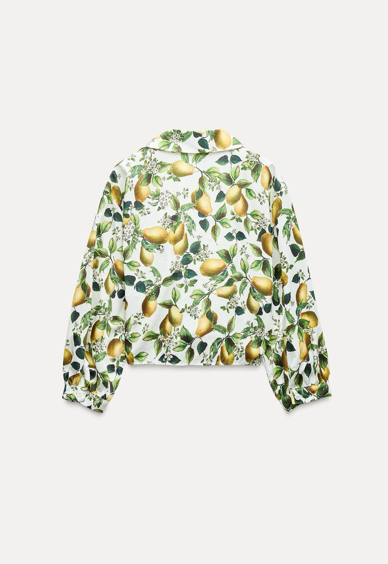 ZARA Knotted Fruit Print Crop Top