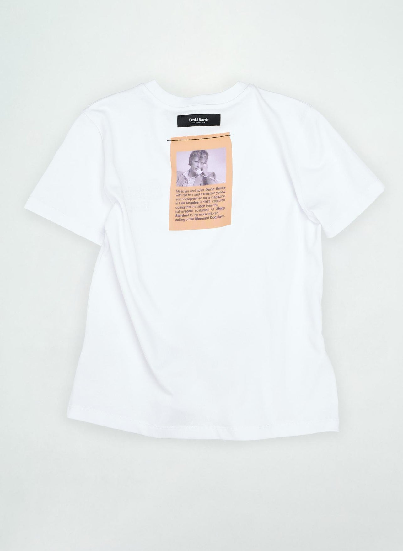 Zara X David Bowie T-Shirt
