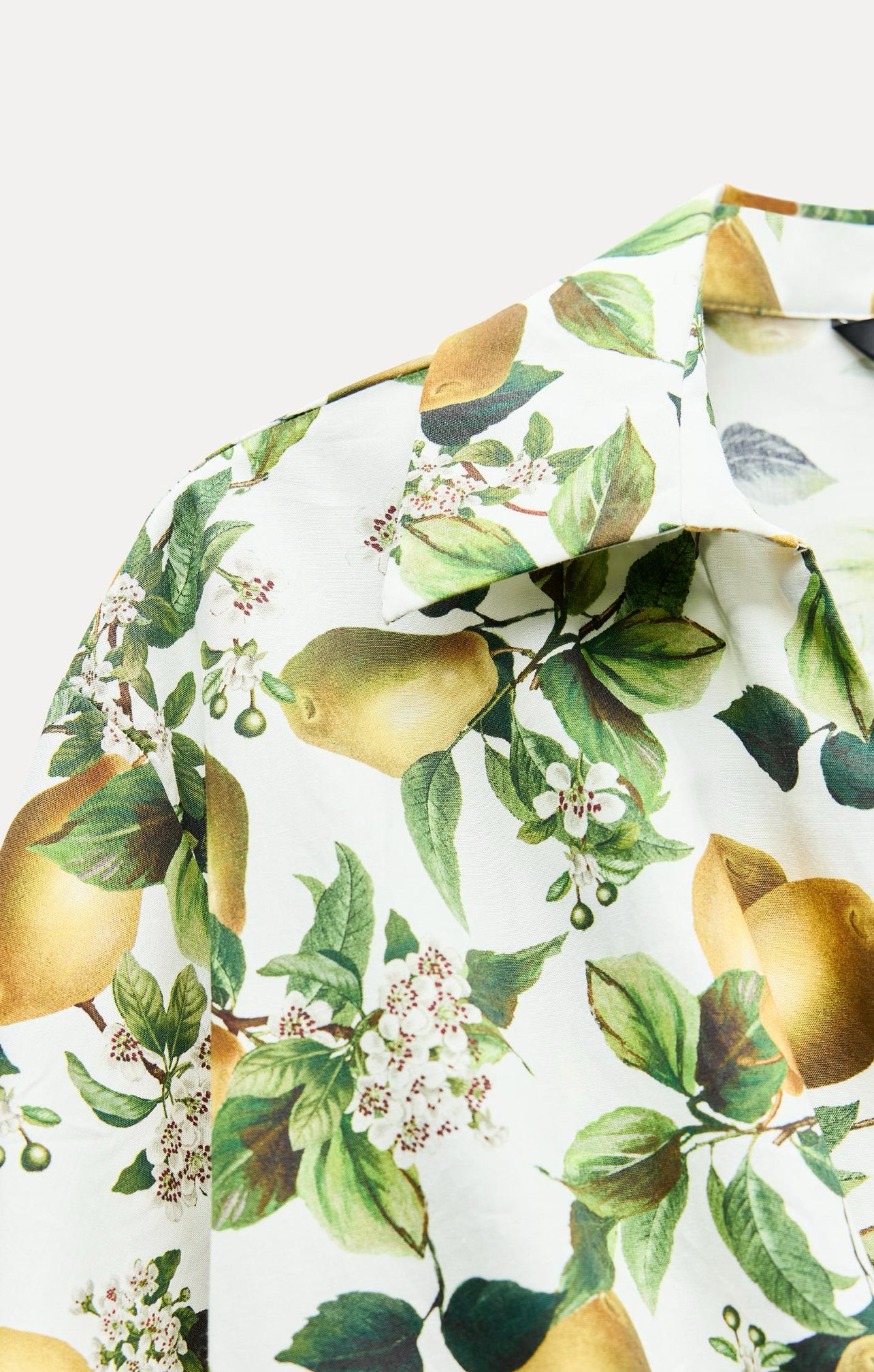 ZARA Knotted Fruit Print Crop Top