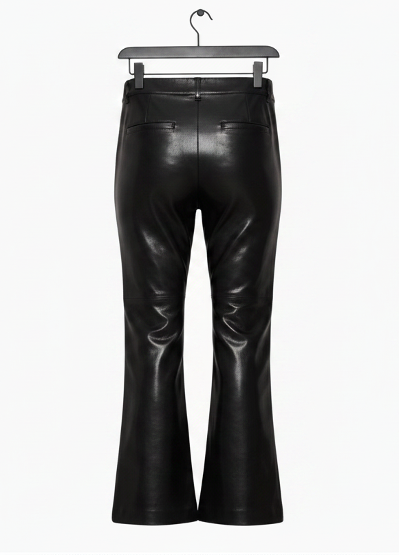 Aritzia BABATON Division Pant