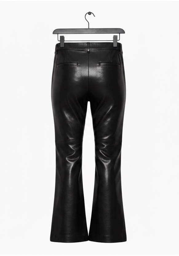 Aritzia BABATON Division Pant