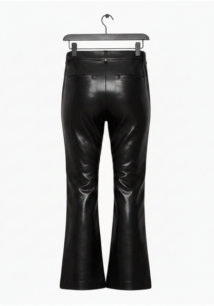 Aritzia BABATON Division Pant