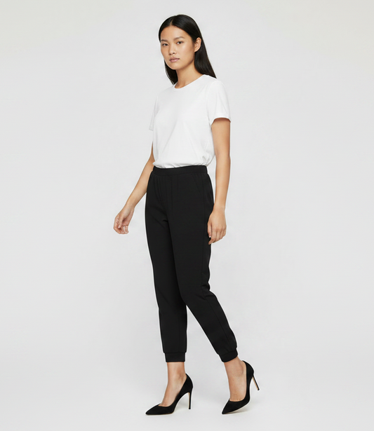 Aritzia BABATON Dexter Tuxedo Trouser Pants