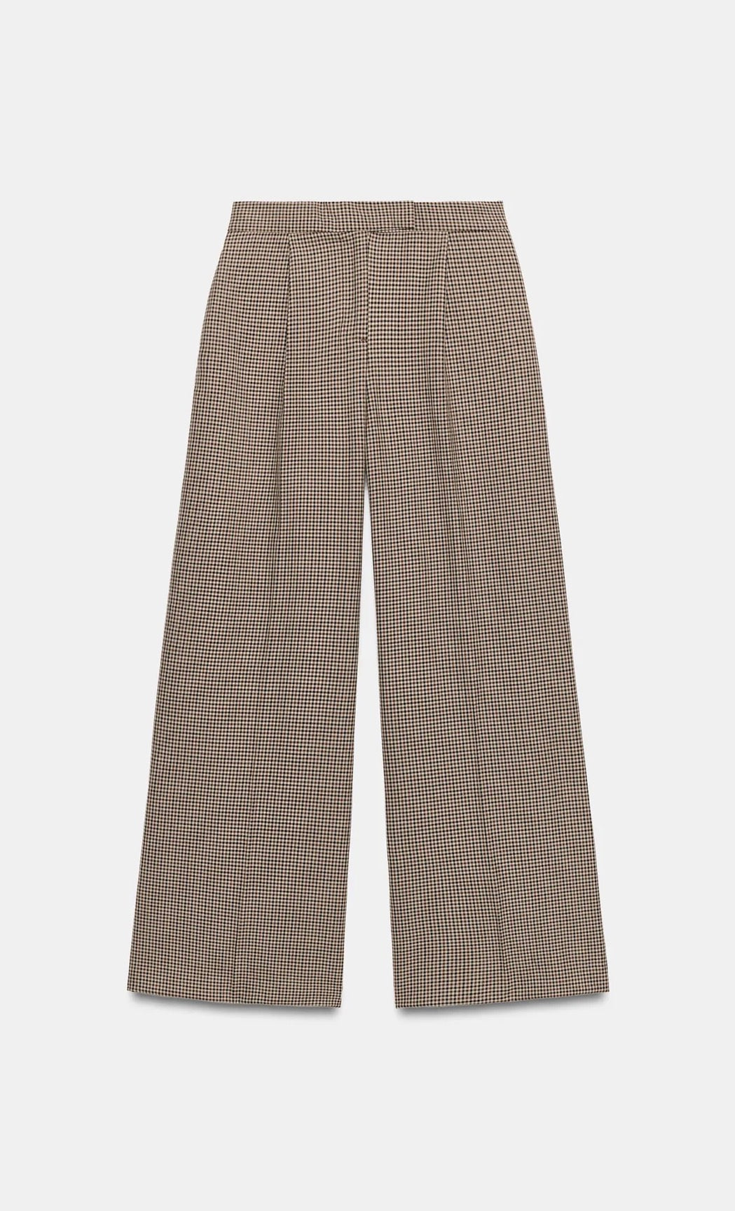 ZARA Wide Leg Darted Pants