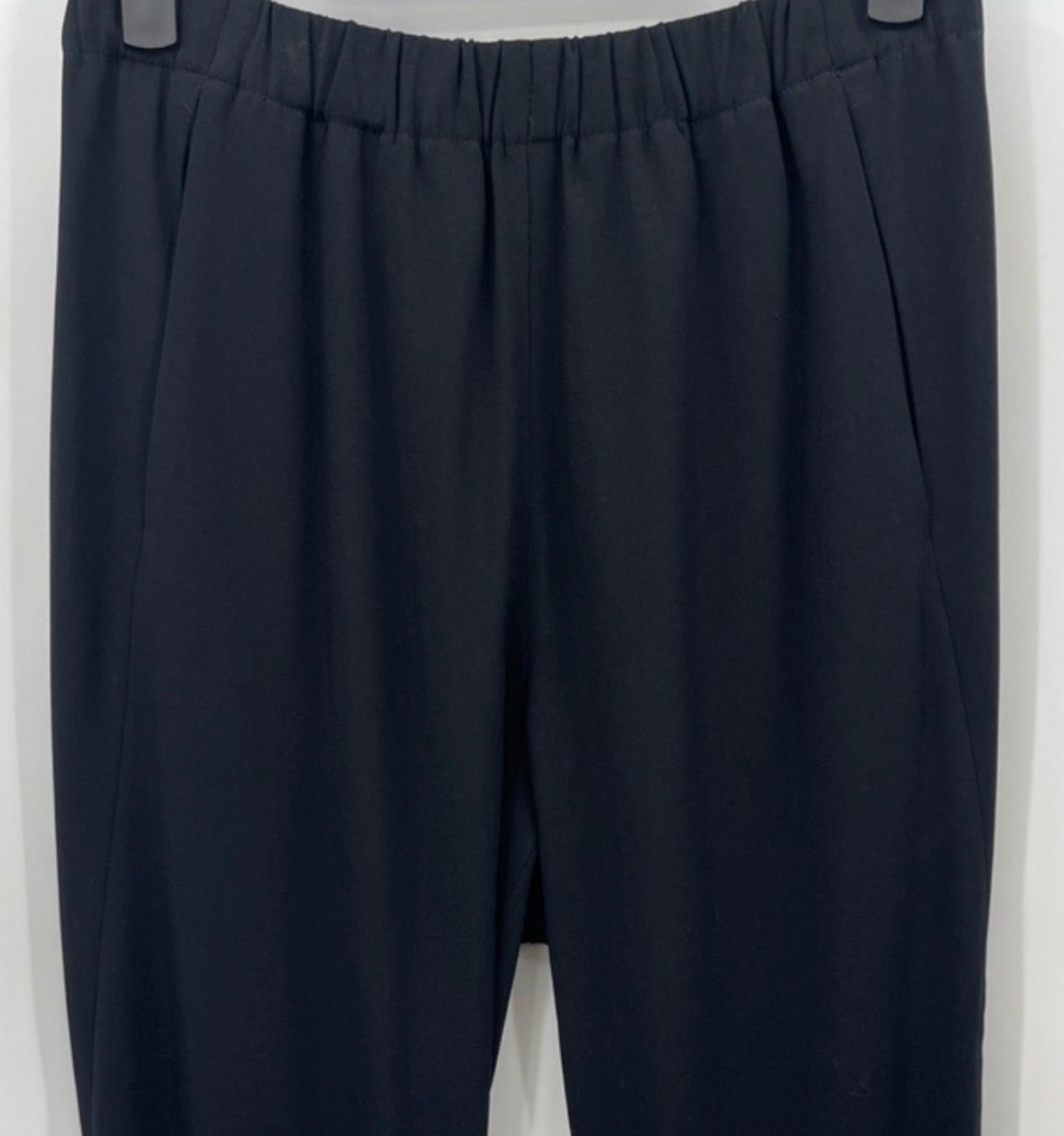 Aritzia BABATON Dexter Tuxedo Trouser Pants