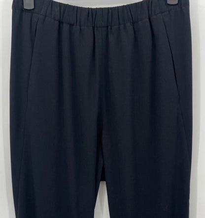Aritzia BABATON Dexter Tuxedo Trouser Pants