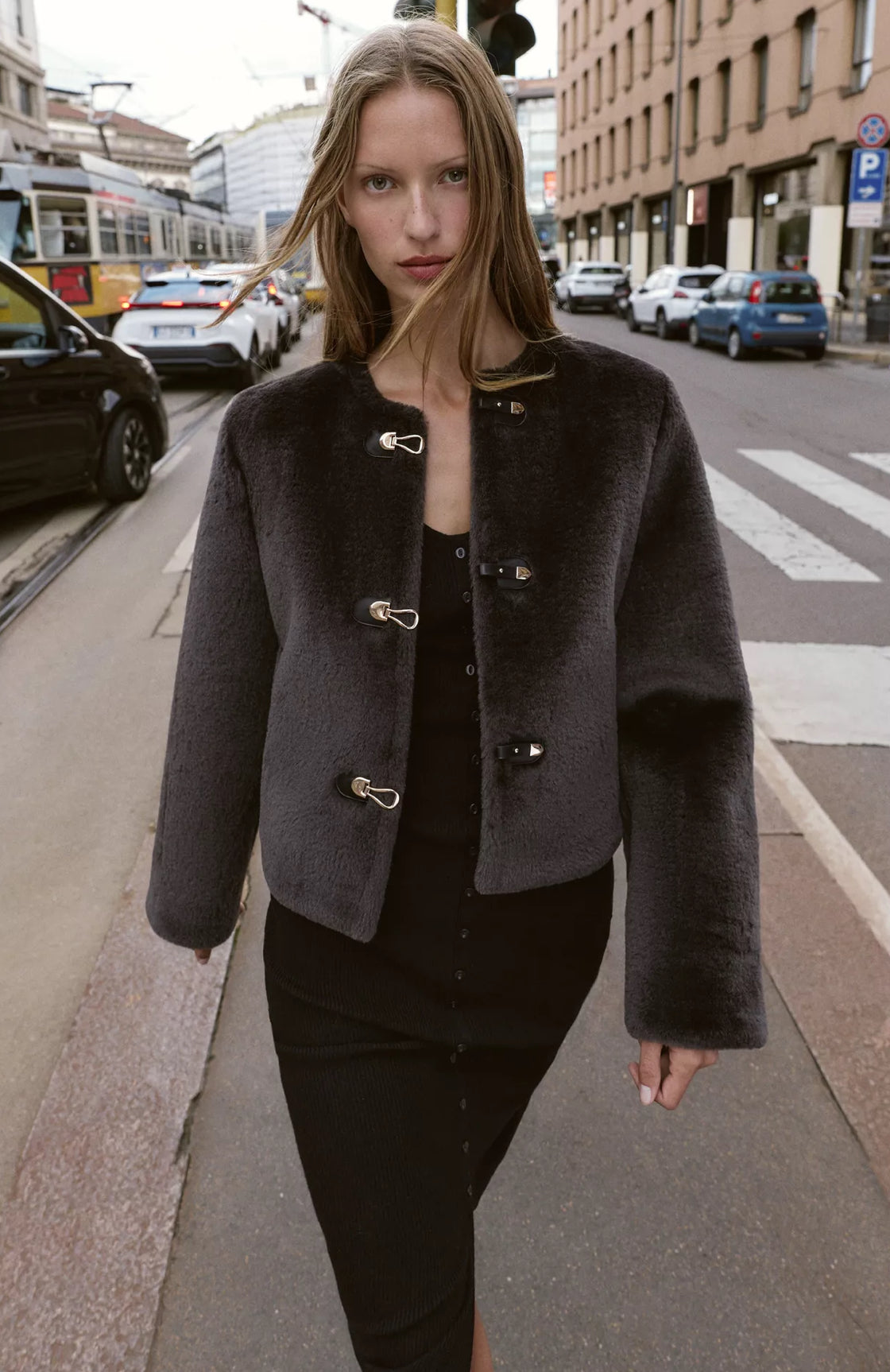 ZARA Double-Faced Toggle Jacket