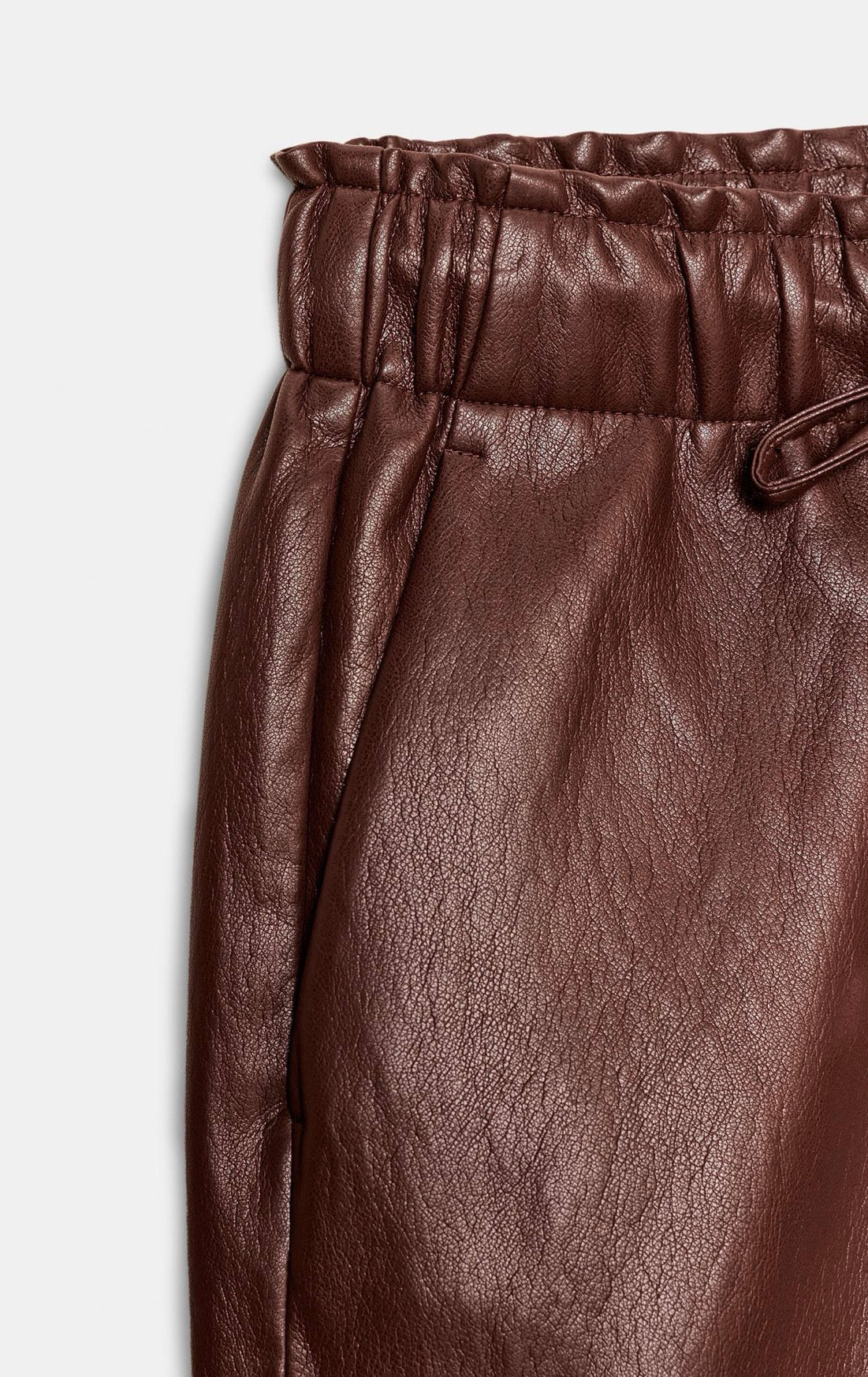 ZARA Faux Leather Elastic Waist Pants
