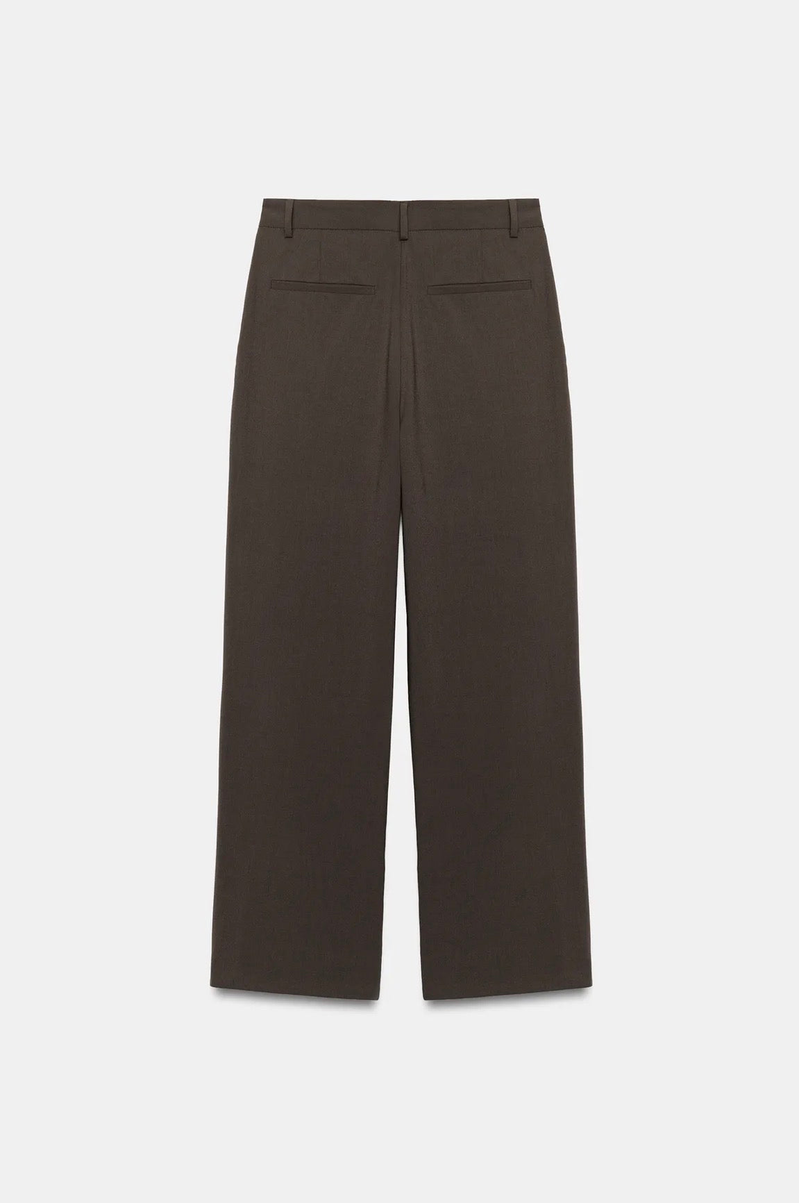ZARA Pleated Pants