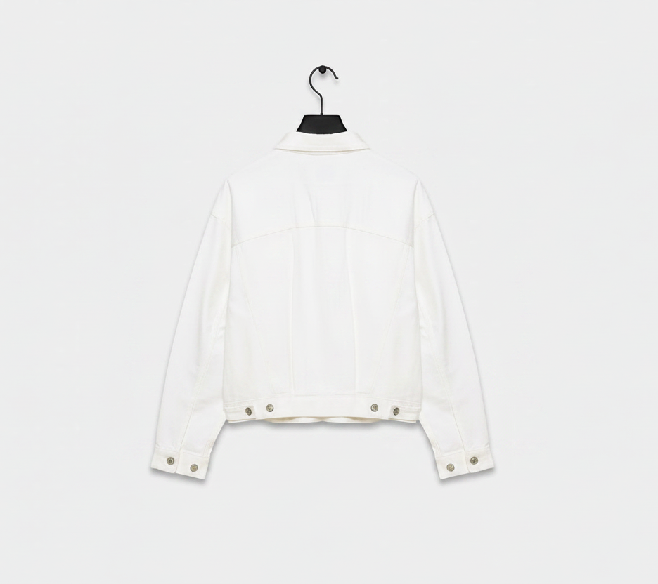 ARITZIA TNA Pavilion Jacket