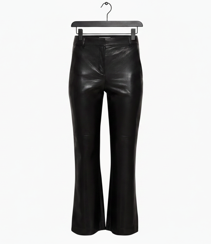 Aritzia BABATON Division Pant