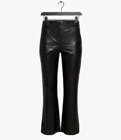 Aritzia BABATON Division Pant