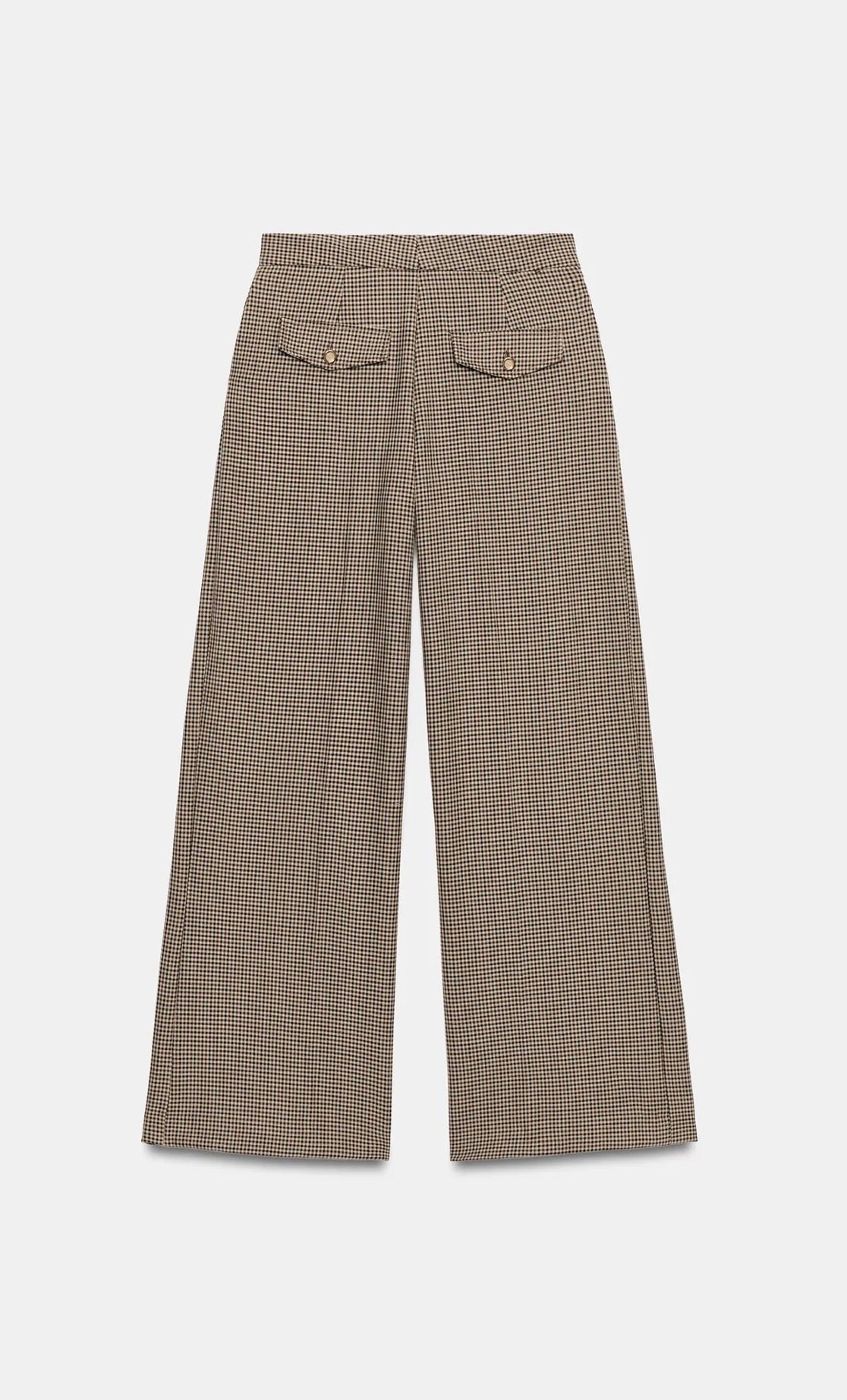 ZARA Wide Leg Darted Pants