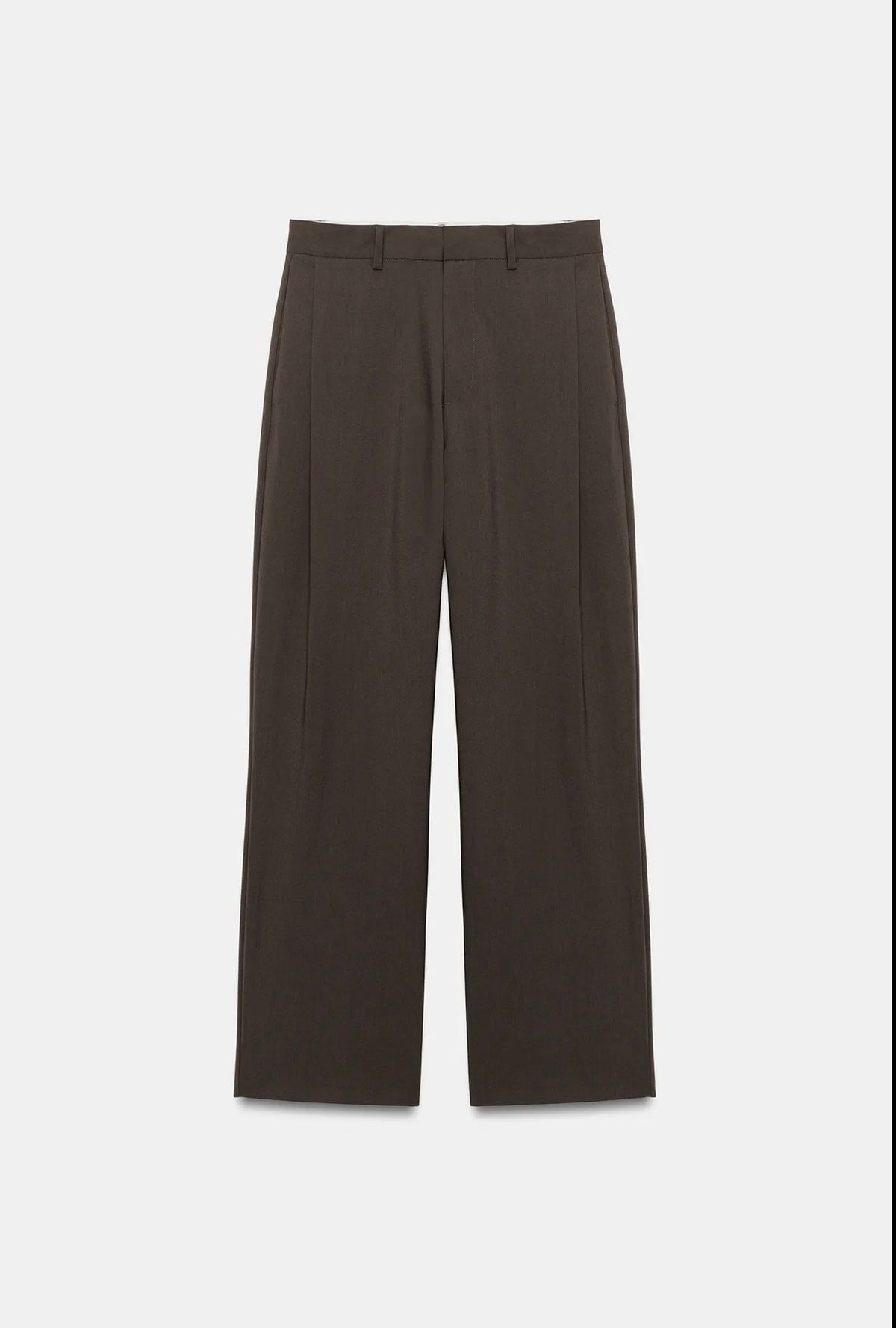ZARA Pleated Pants